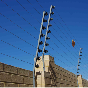 Electric Fence